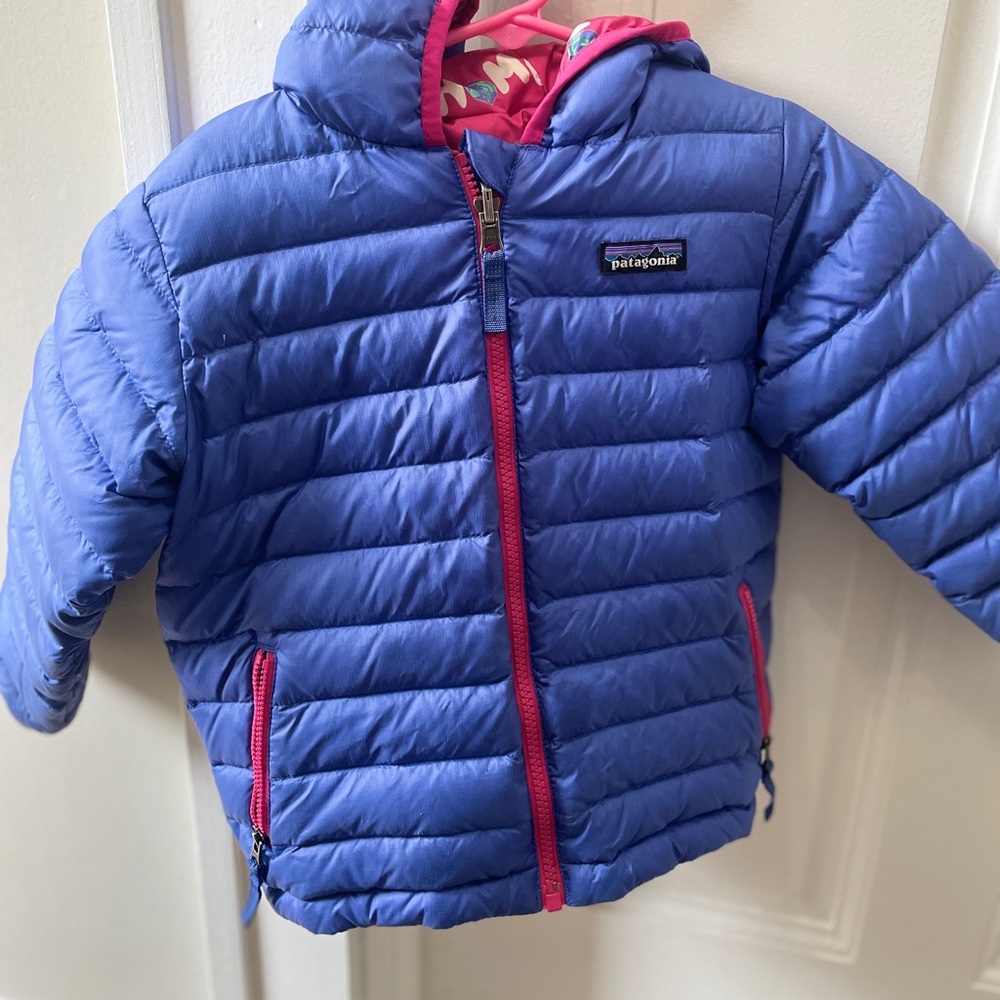 Patagonia Kid’s Puffer Jacket with Hood